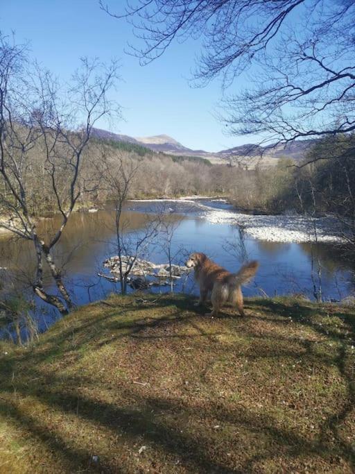Riverside Lodge In Killiecrankie Bridge of Tilt Exteriér fotografie